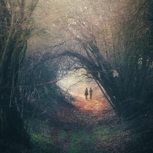 我下载一个男人日三个以上的女人p
