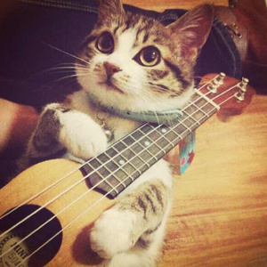 我下载一个男人日三个以上的女人p
